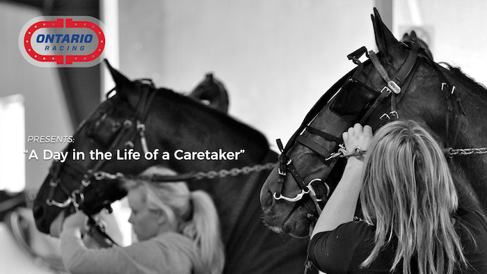 Ontario Racing Presents...A Day in the life of a caretaker