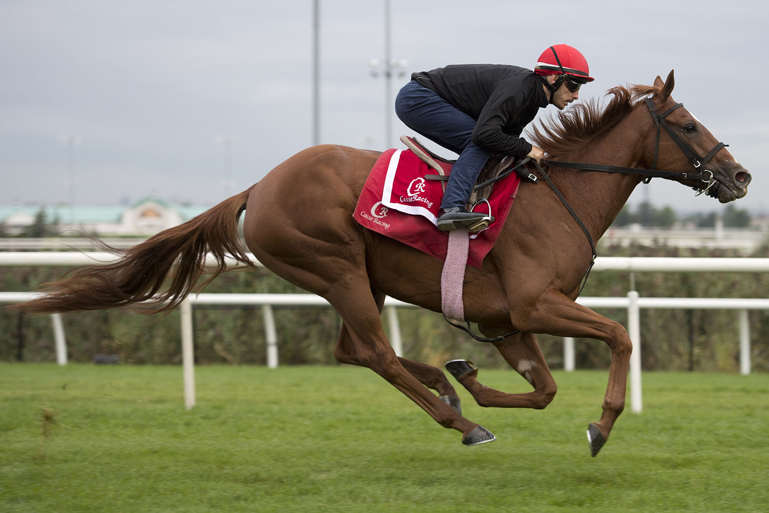 Got Stormy favoured in million-dollar Ricoh Woodbine Mile