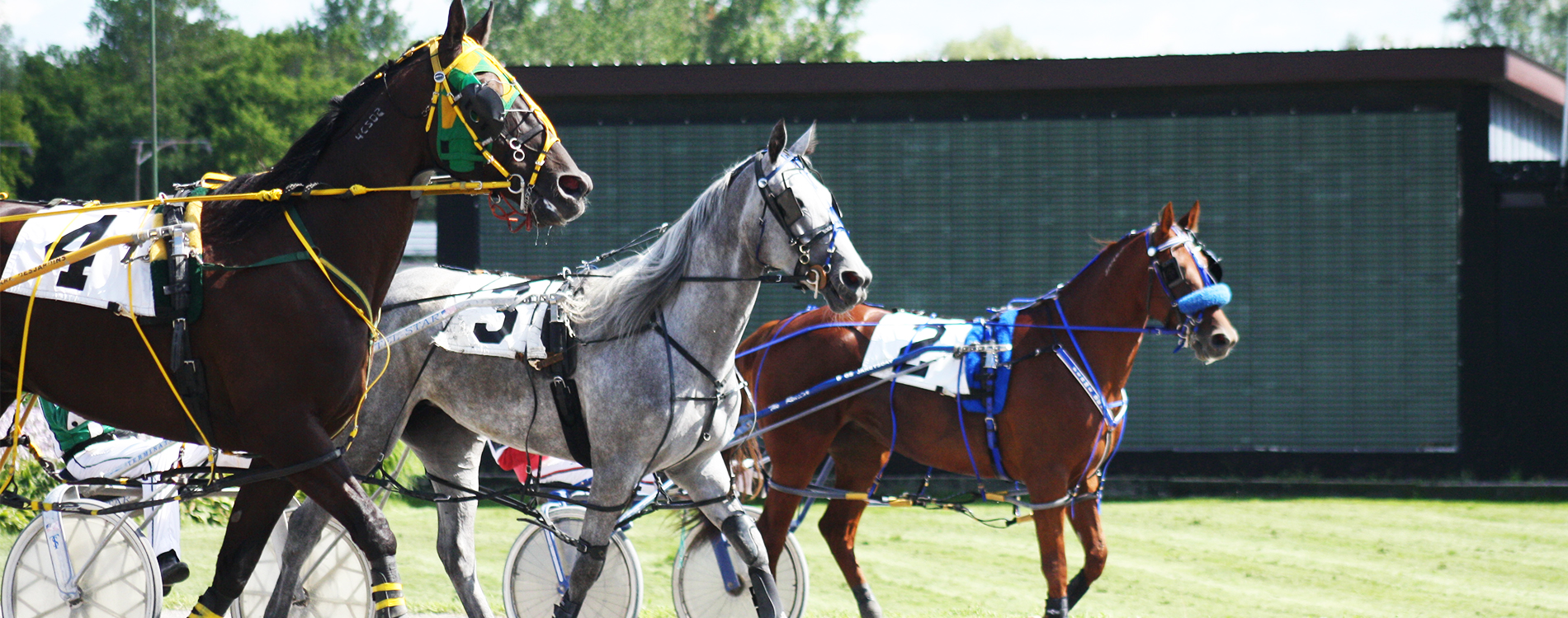 Ontario Racing Trivia Contest: Week 10