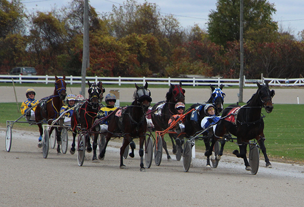 Lakeshore Open Pace