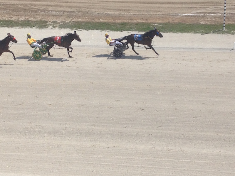 Civic Holiday Racing A Hit At Dresden Raceway 