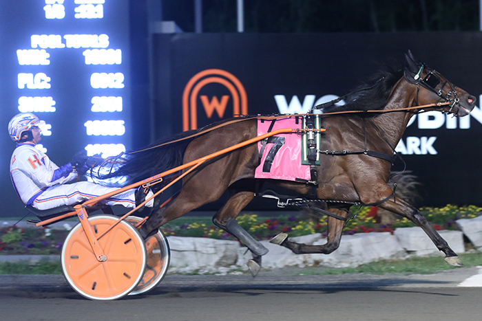 Local colts Stormont Ventnor and Majestic Fire score in OSS action