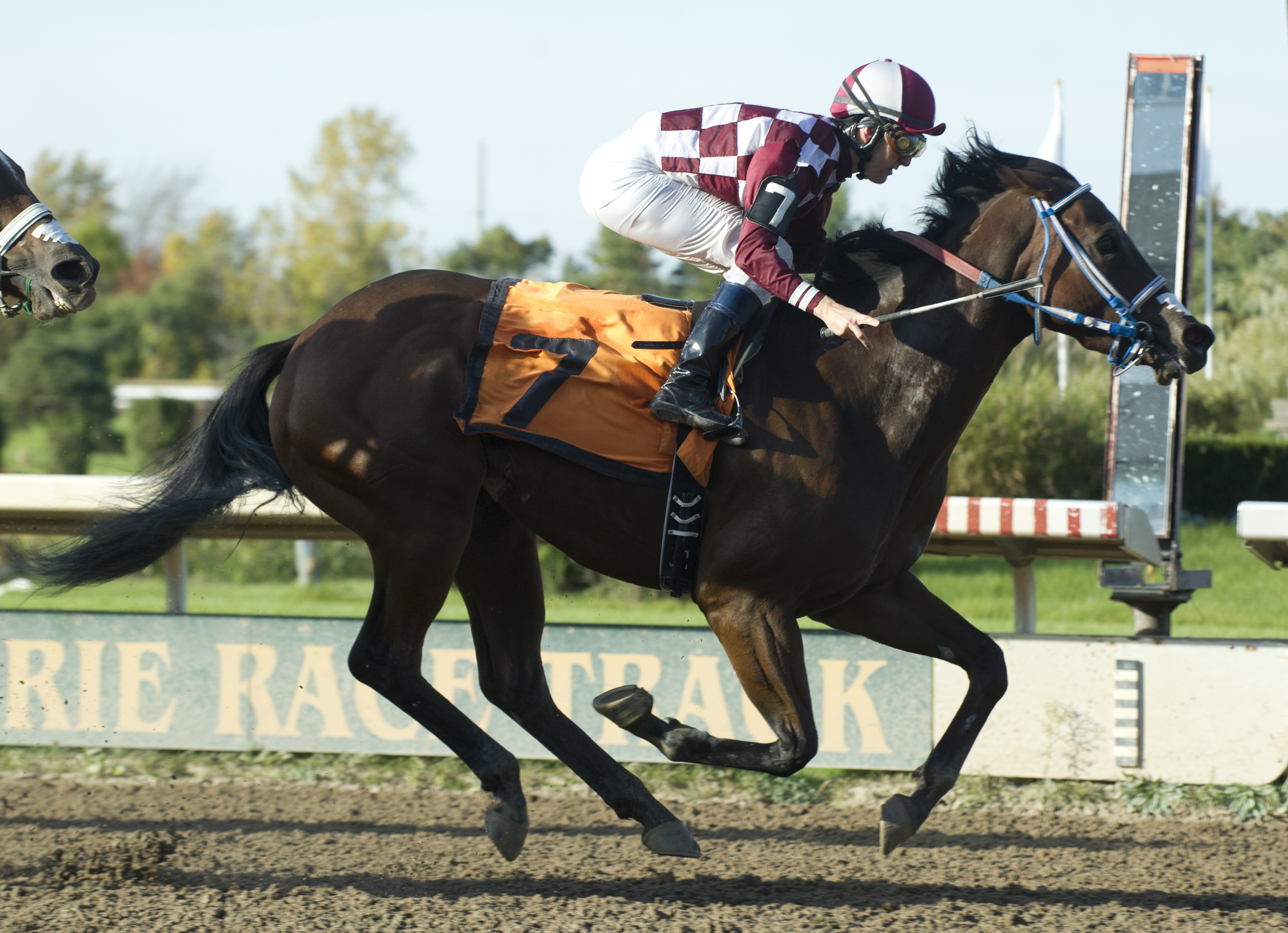 Fort Erie says farewell to another racing season