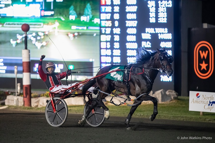 Woodbine Mohawk Park to host Job Fair Saturday