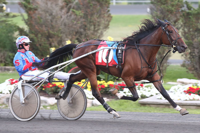 Lovedbythemasses trots to top spot in Grassroots standings