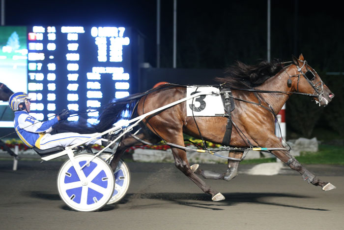 Nearly perfect Sugartown top of the pacing colt class