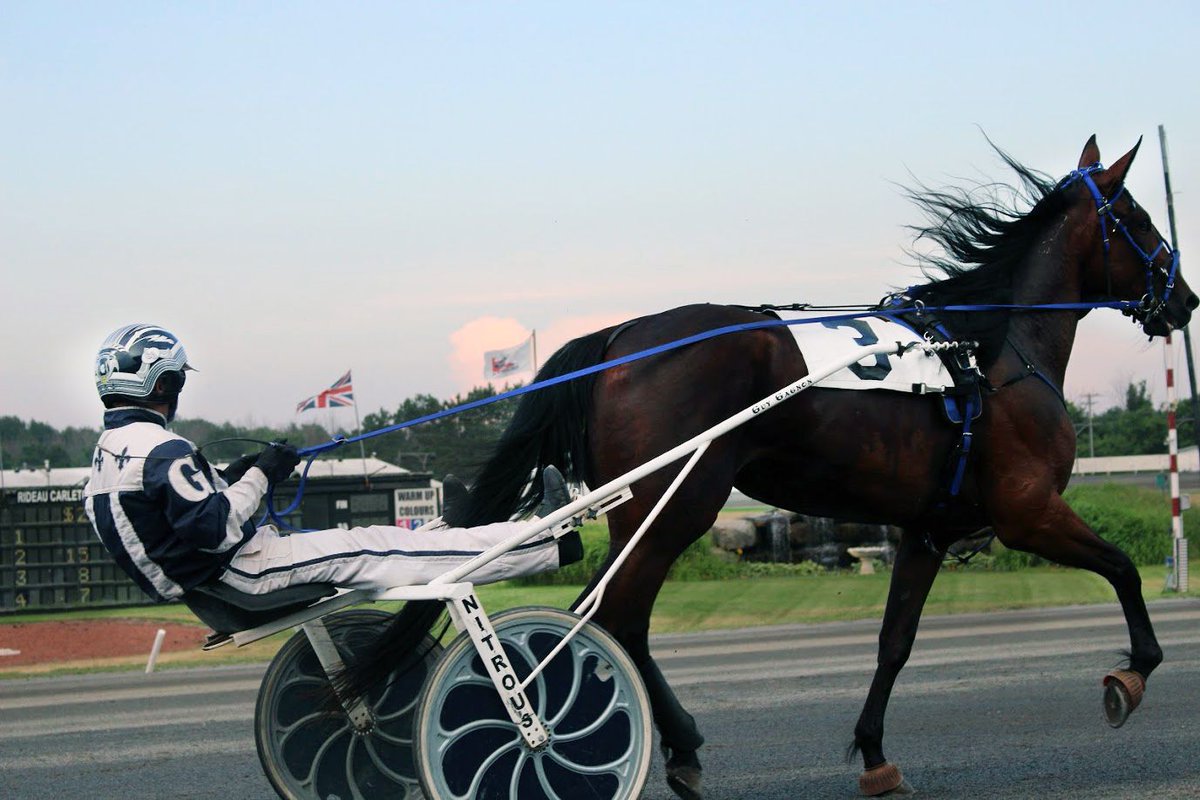 Guy Gagnon: Rideau’s top-shelf reinsman