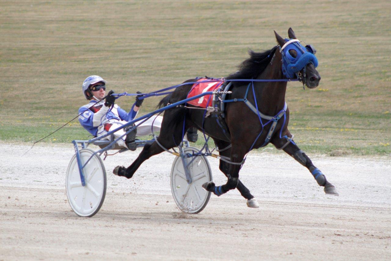 Grassroots colts impress Industry Day fans