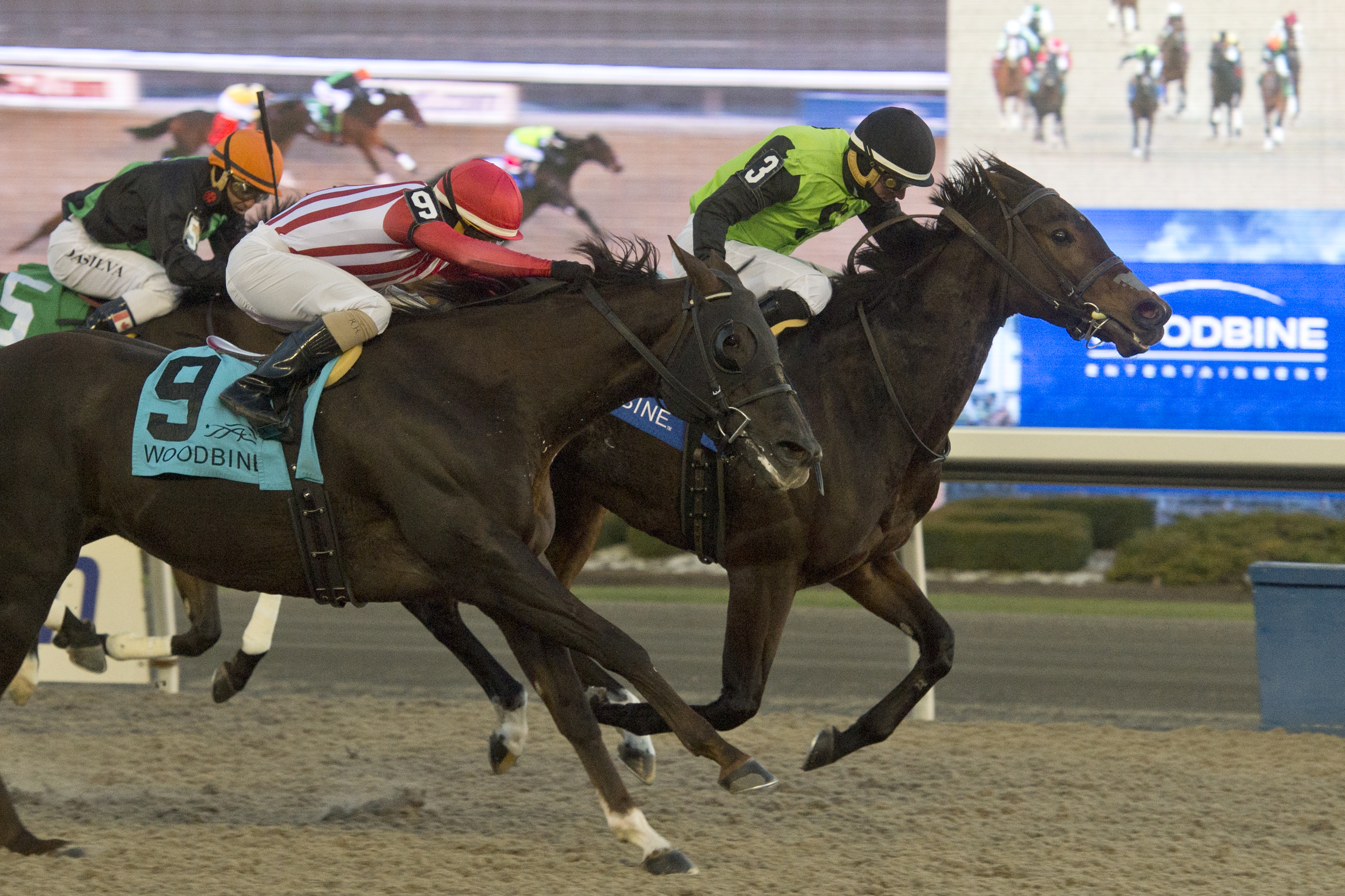 Moonlit Promise triples in stakes action at Woodbine