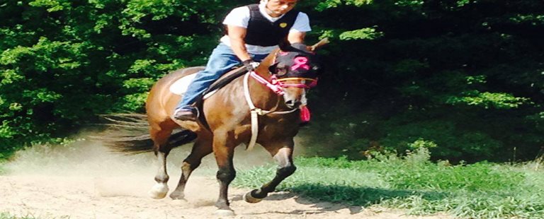 Quarter Horse edition: the Horse that Changed my Life