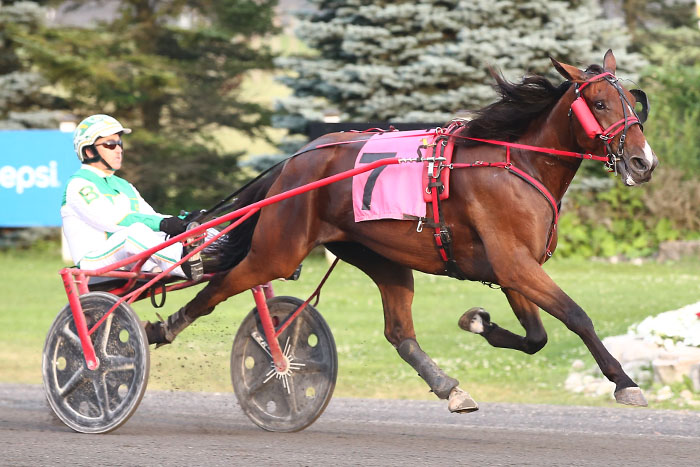 Bright Eyes M headlines big night of OSS action