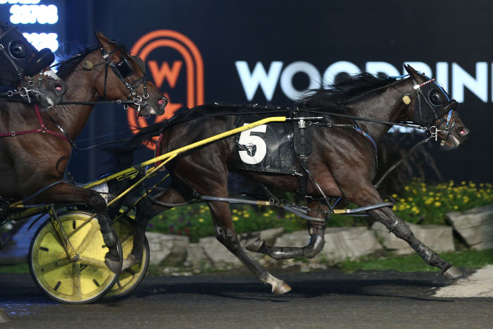 Last ditch efforts land freshmen a post-season berth