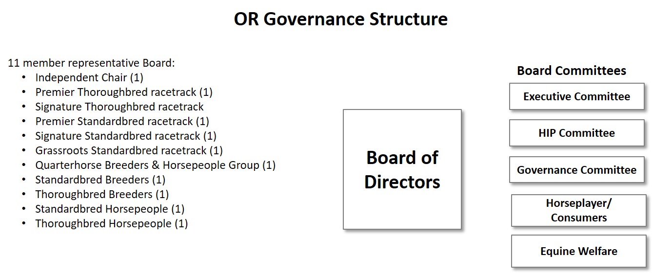 OR Governance Strucure