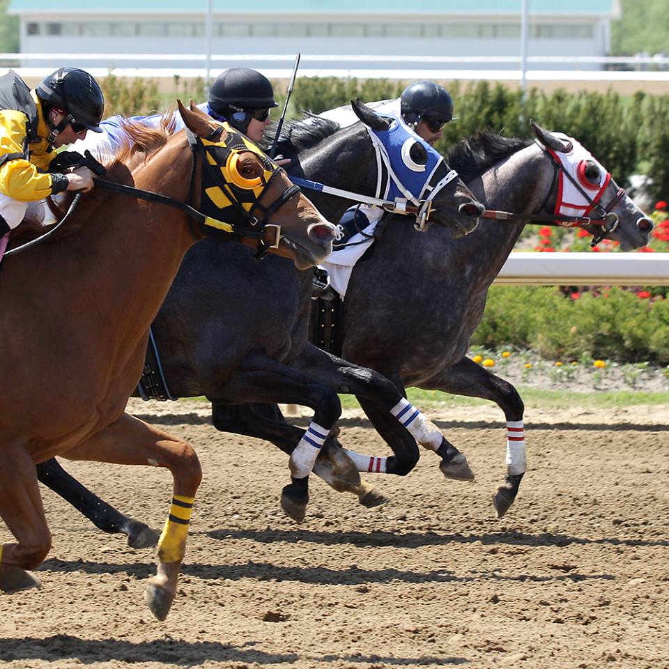 Father's Day at Ajax Downs: Ontario-Bred Derby and more