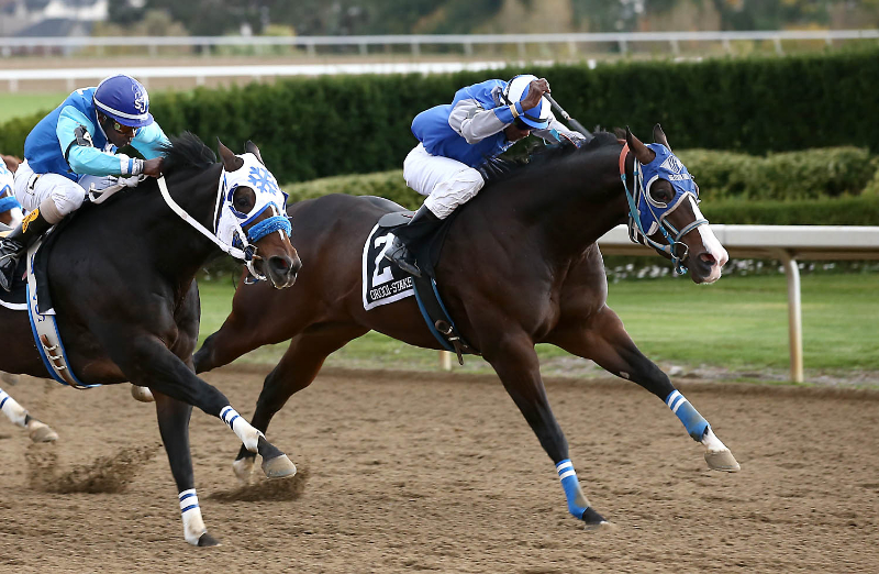 Had to Be Ivory takes the $88,200 Picov Derby