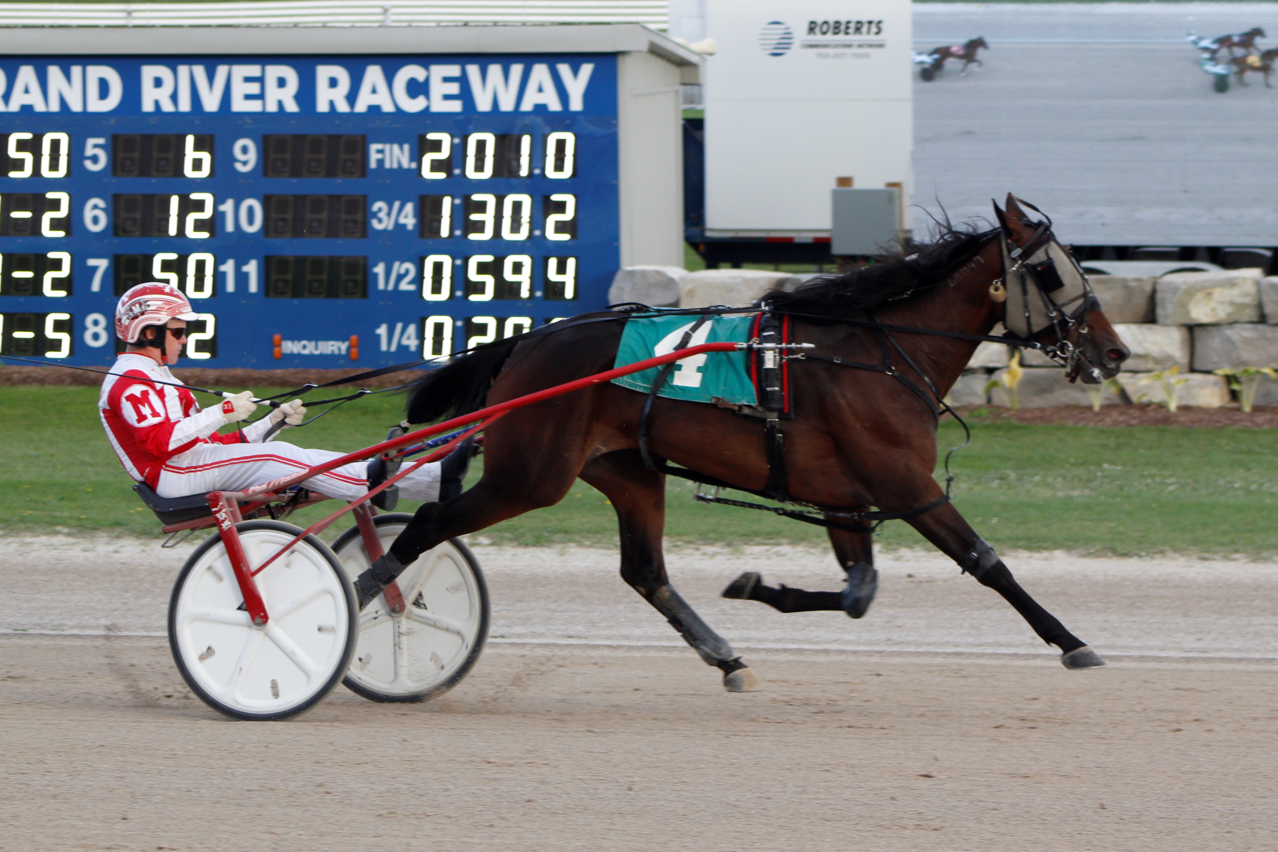 Scorched Romance steps up in Elora Grassroots