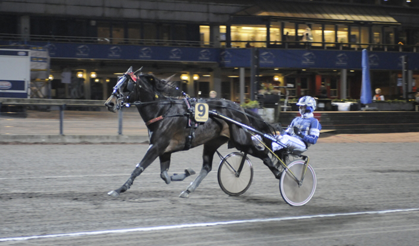 From NHLPA.com: NHL Players Jacob de la Rose and Filip Forsberg making their mark as horse owners 