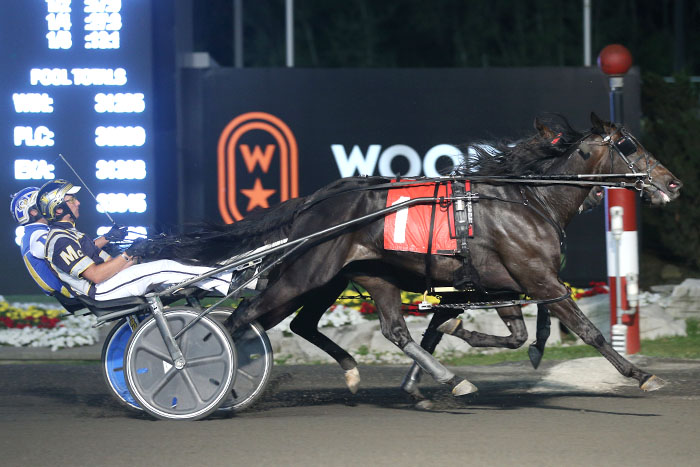 Hambletonian champion thrills fans with Gold Series win 
