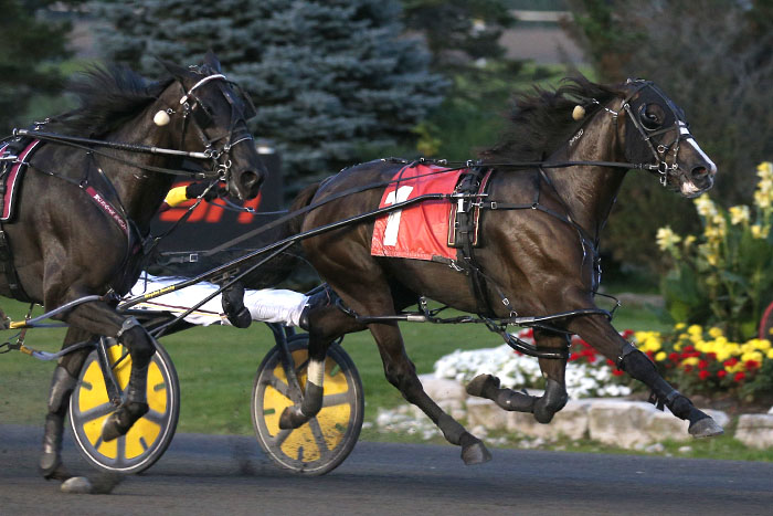 Clutch win for Premier Cabernet in Grassroots finale