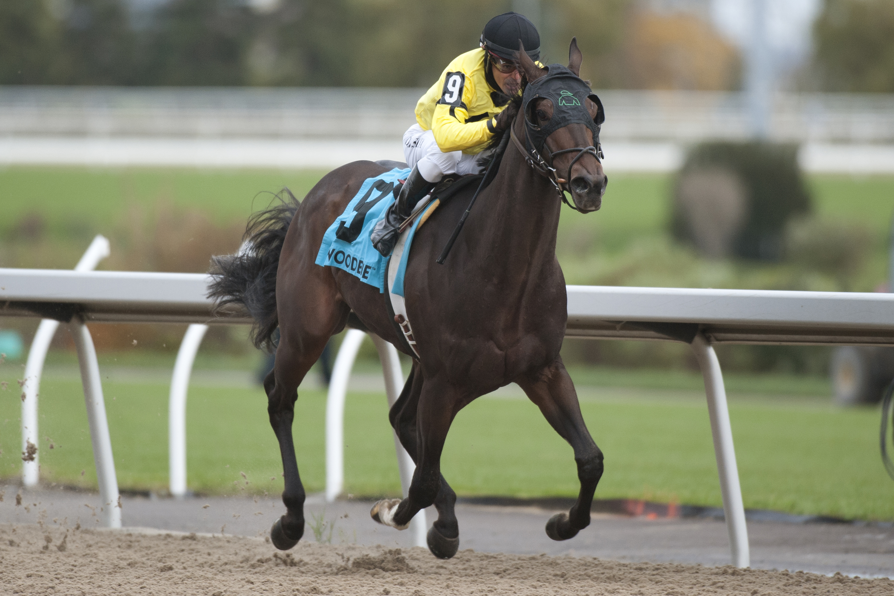 Ricoh Woodbine Mile notes for Monday, Sept. 9, 2019