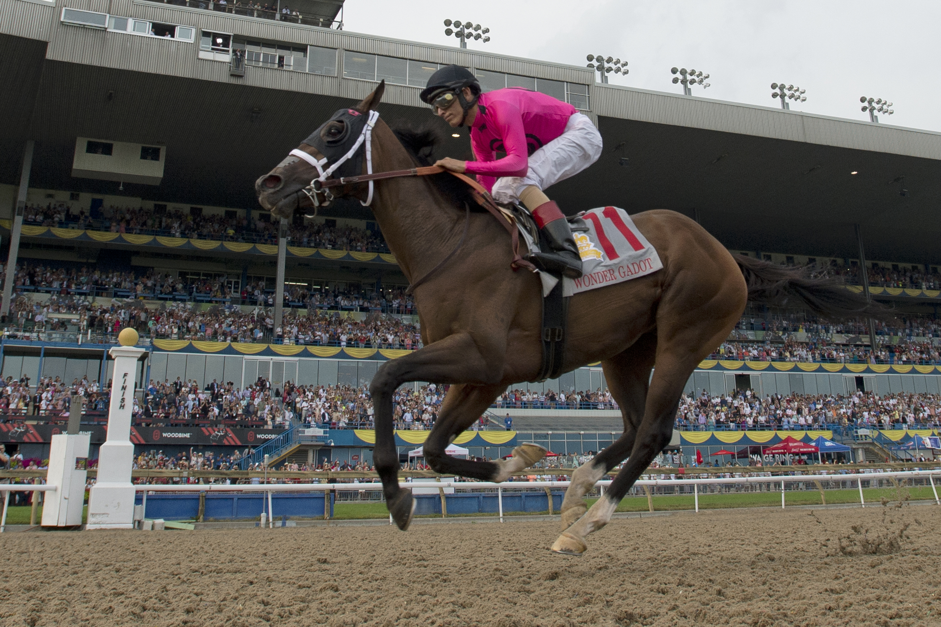  The 160th running of the Queen's Plate set for June 29