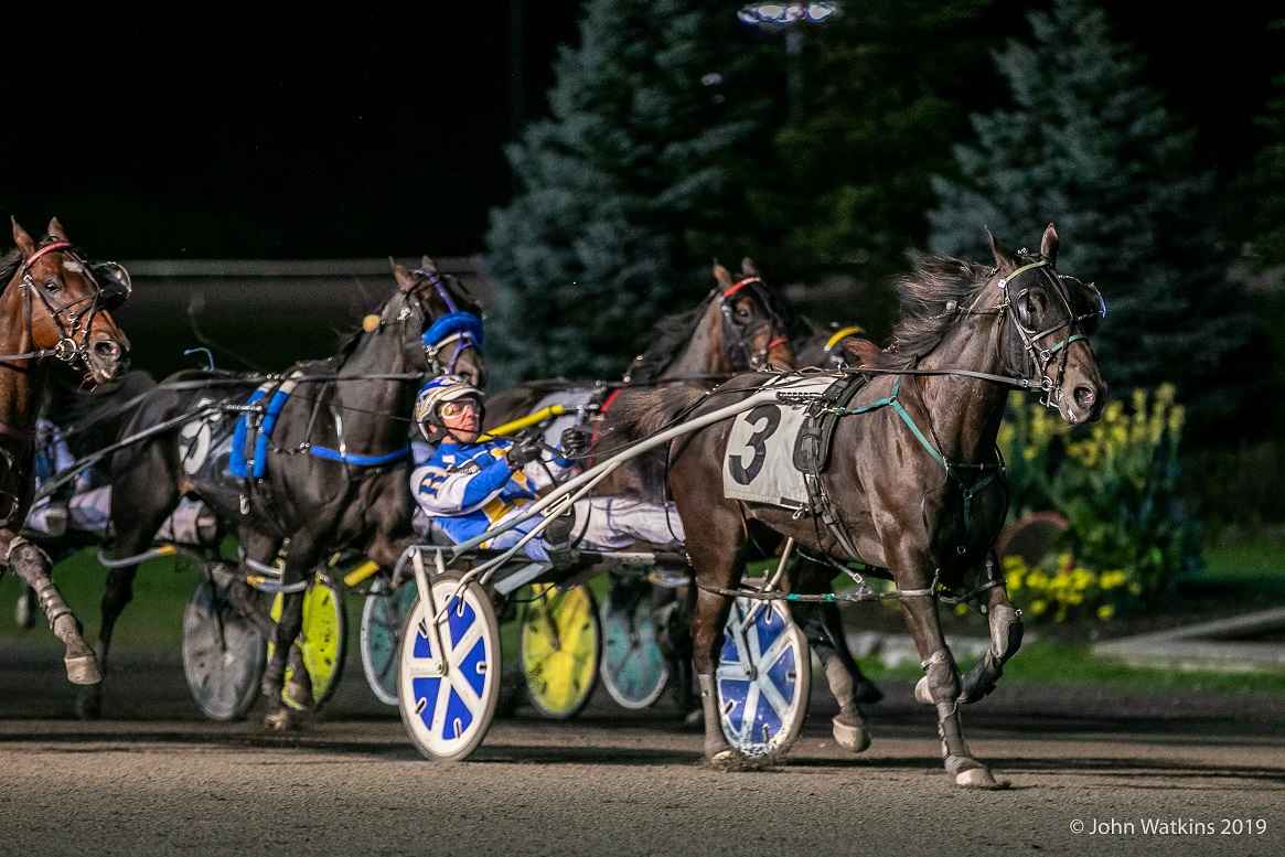 Louis-Philippe Roy: The gift of giving