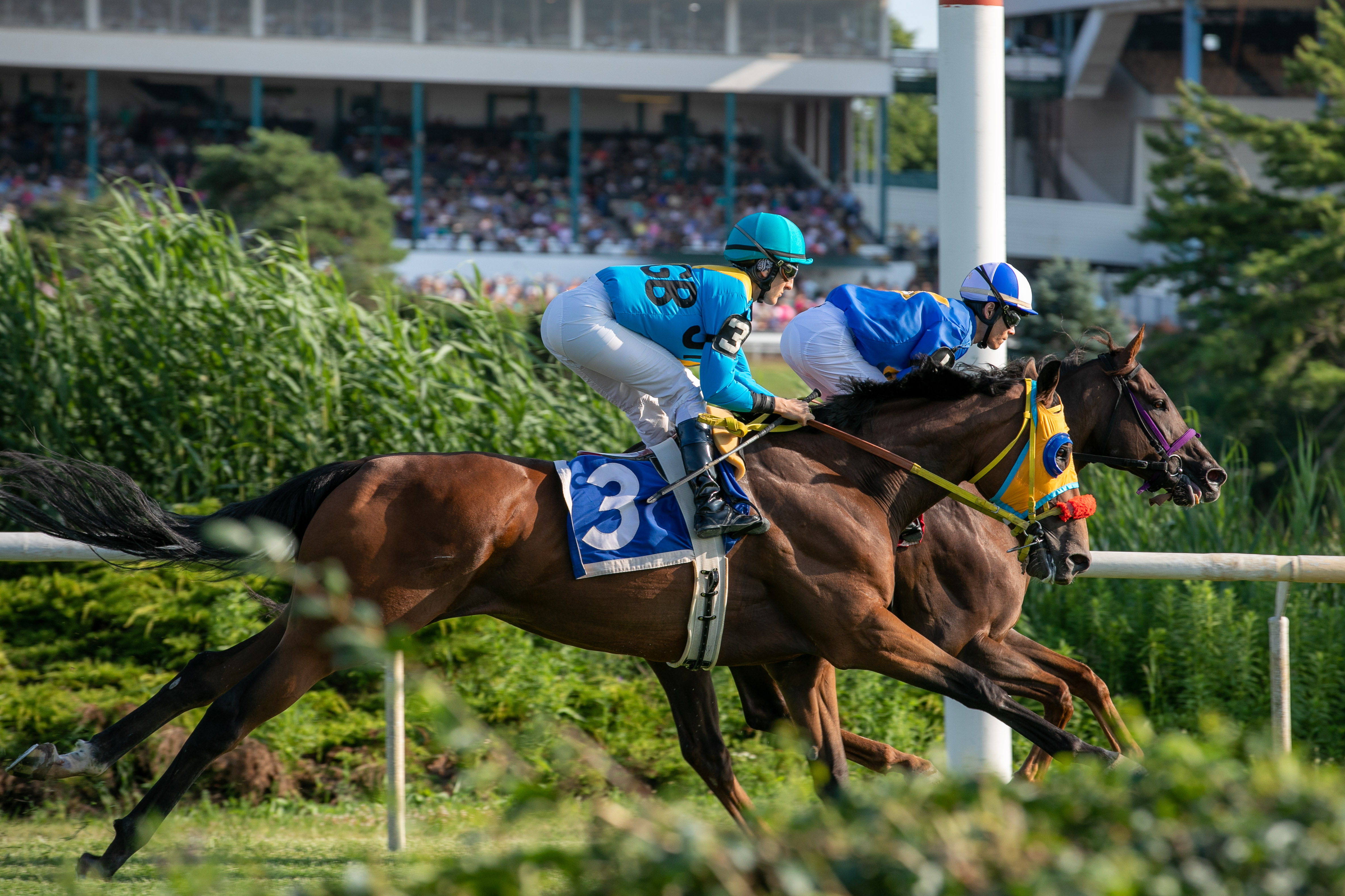 Photo: Stretch It Out