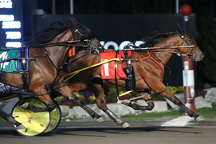 Head-turning Ontario Sires Stakes debut for Royal Rob