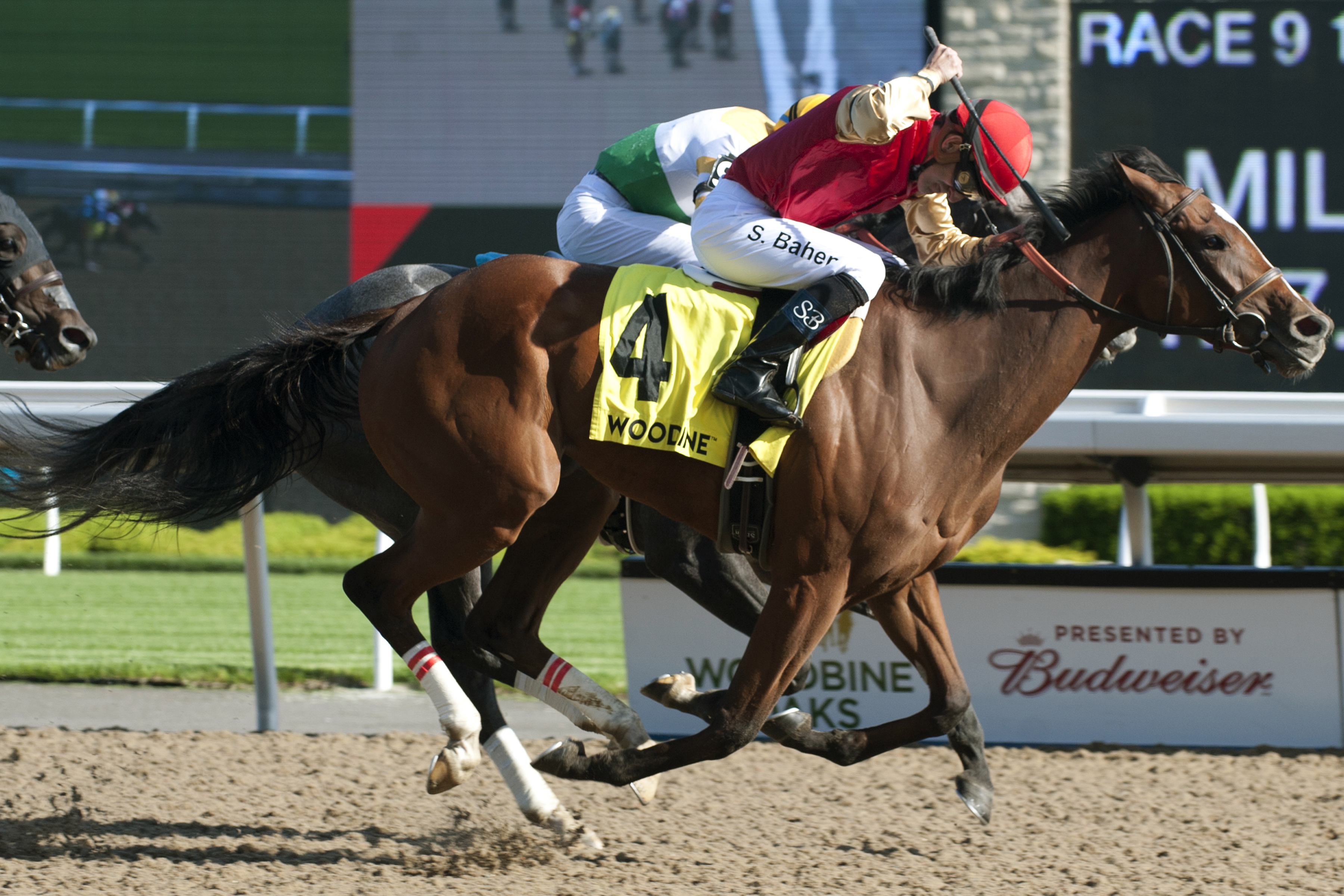 Desert Ride steals the spotlight in the Woodbine Oaks Presented by Budweiser