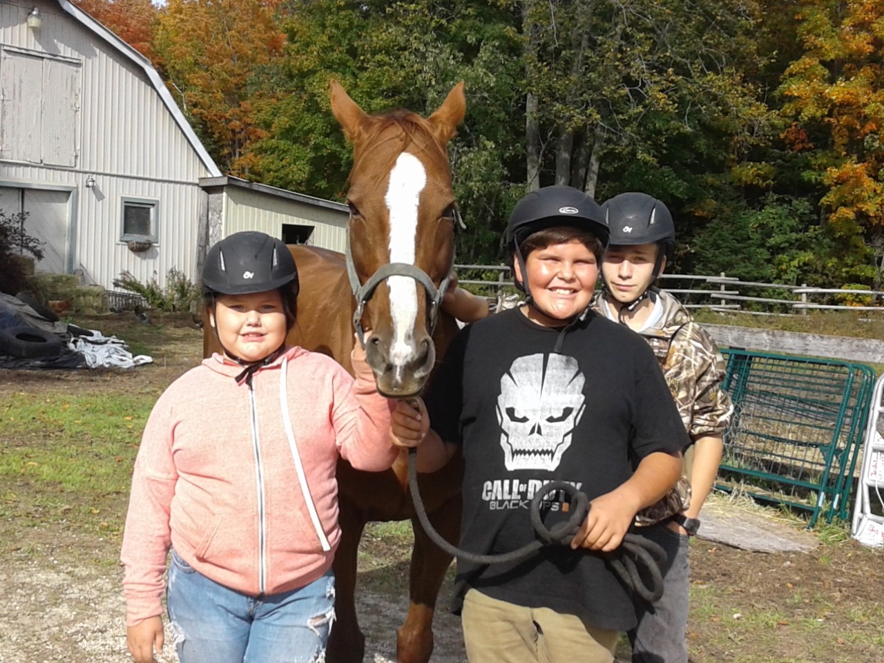 The healing power of horses