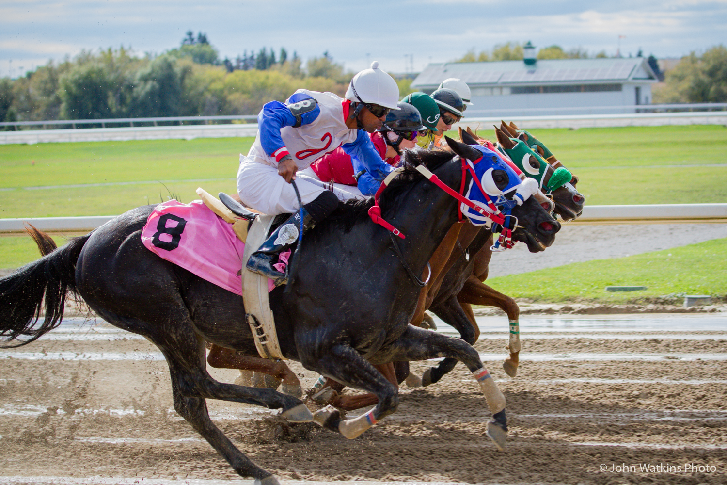 Mayor’s Cup on Final Day of Ajax Downs season