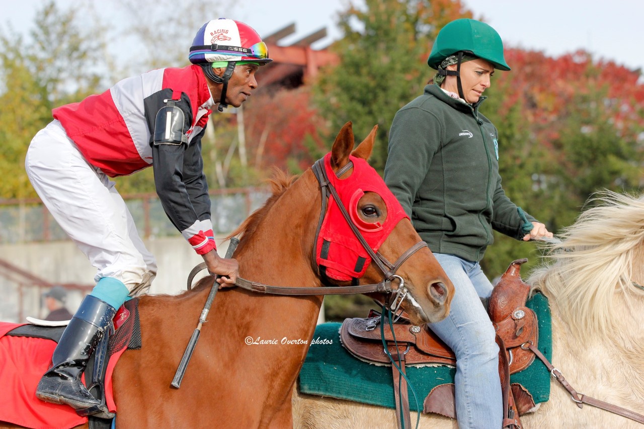 Ajax Downs Completes Memorable 50th Anniversary Season 