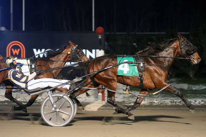 Darlinonthebeach makes immediate impact at Mohawk Park