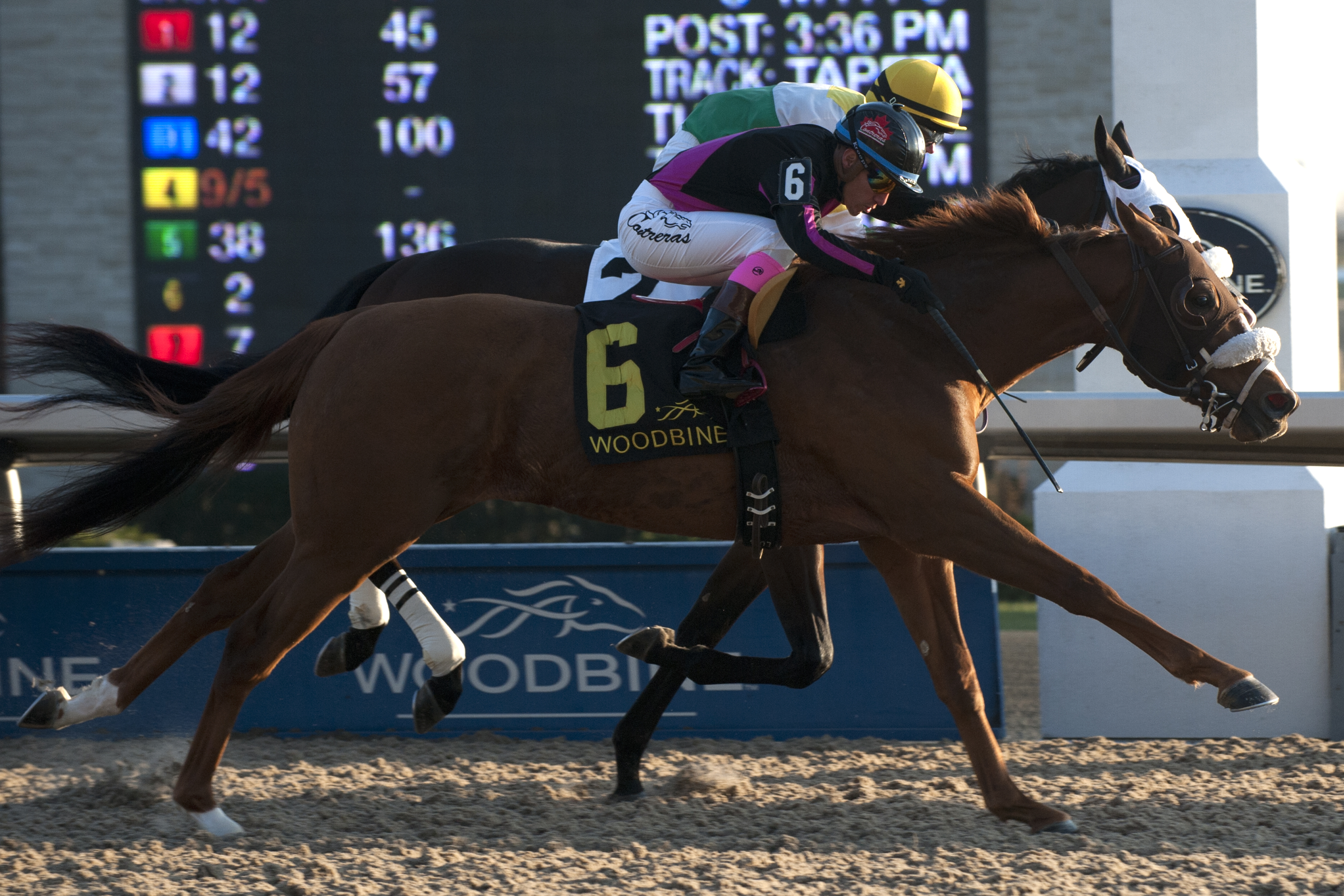 Admiralty Pier earns first stakes win in Display / Kingsport wins second Sir Barton Stakes title
