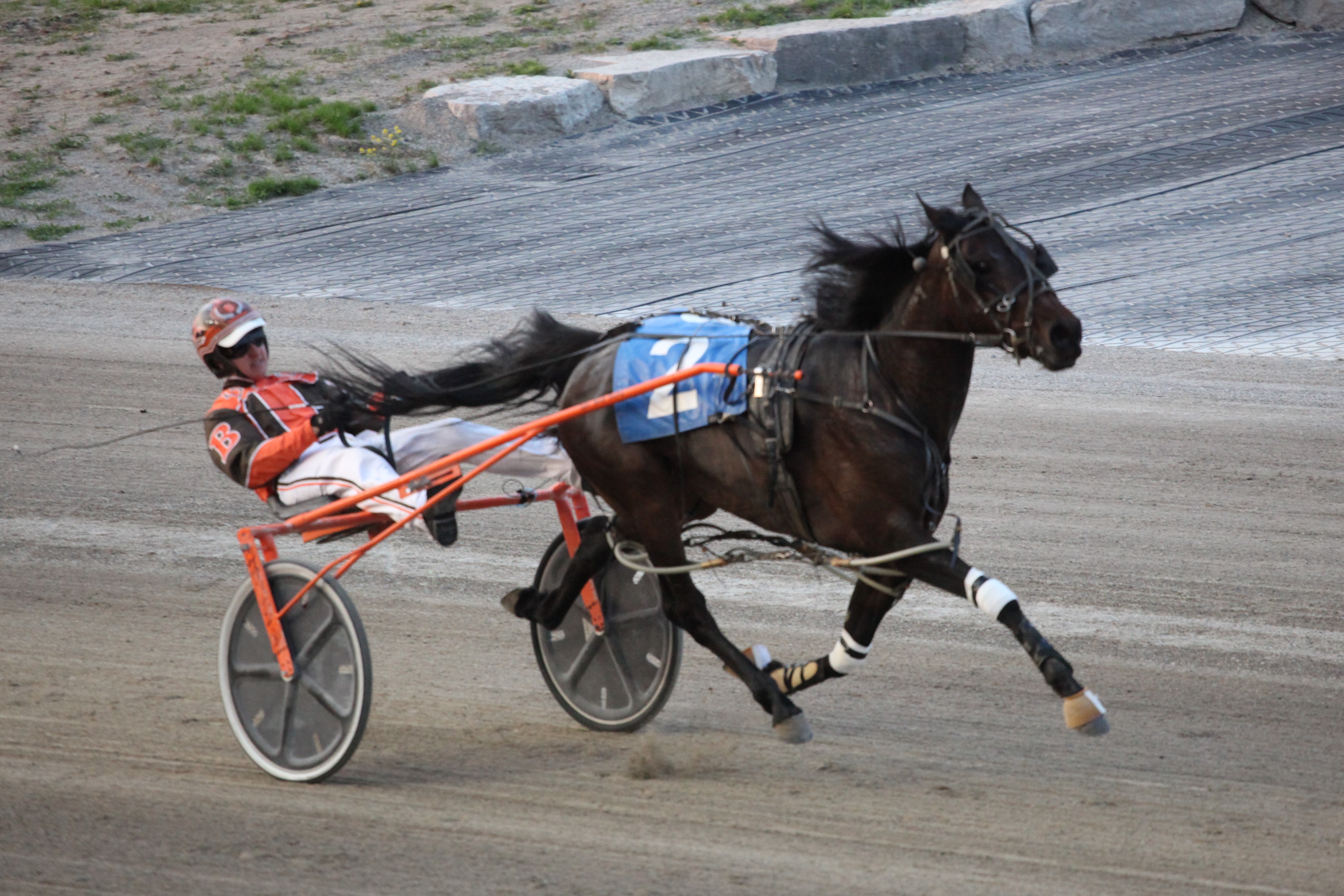 Filly goes from red dirt to pay dirt in 10 days