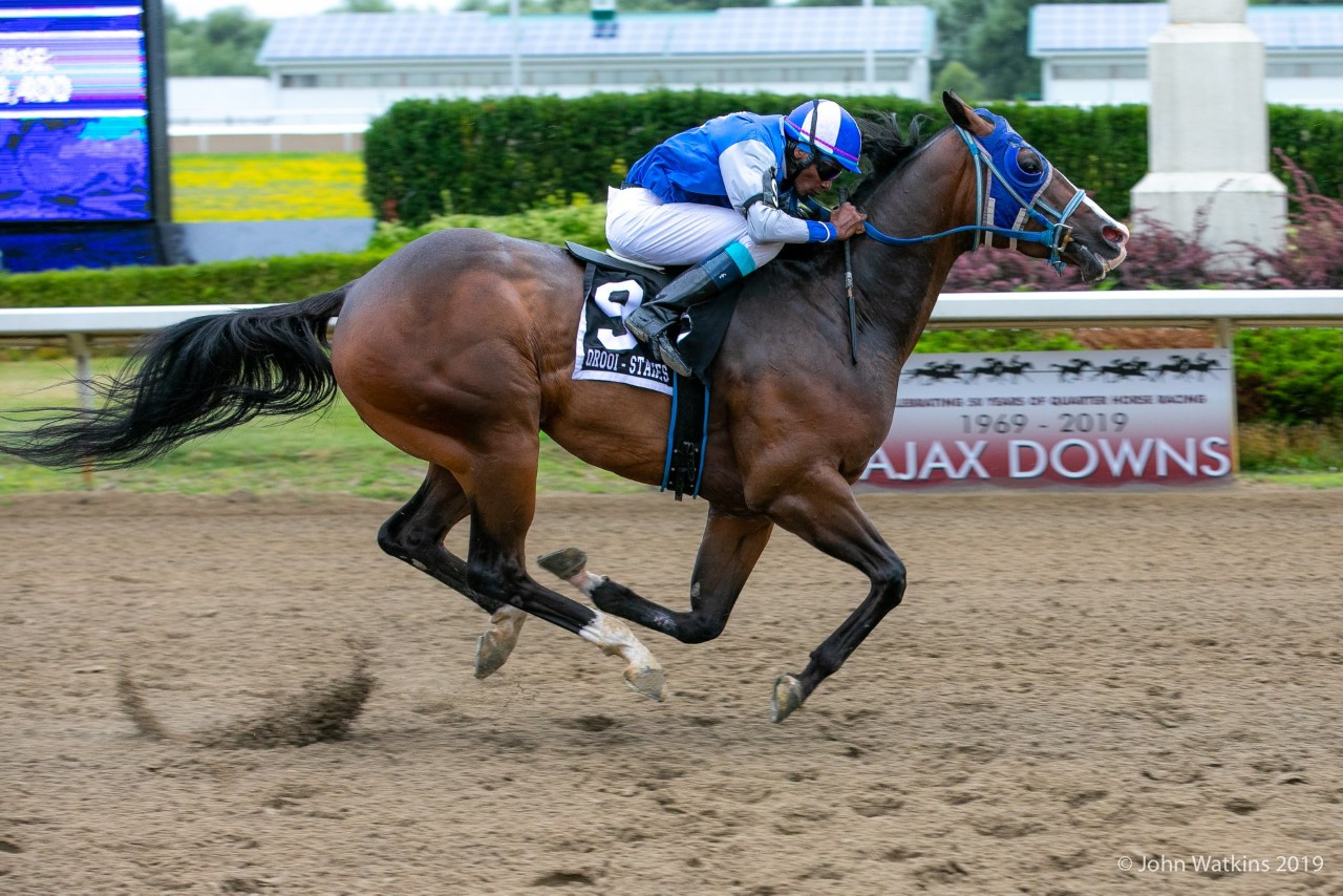 Had To Be Ivory Cruises in Ontario-Bred Maturity / Country Boy 123 Wins In Return 