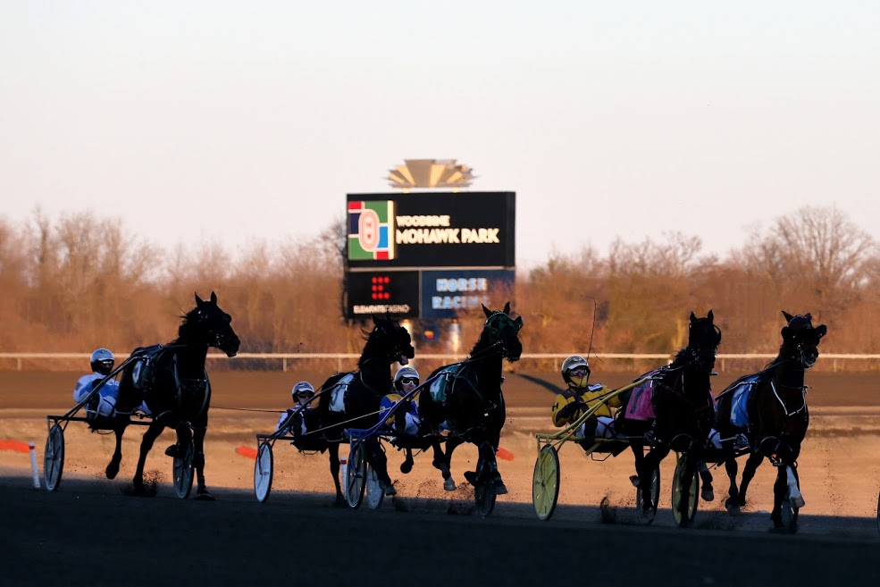Woodbine Standardbred wagering up to start year