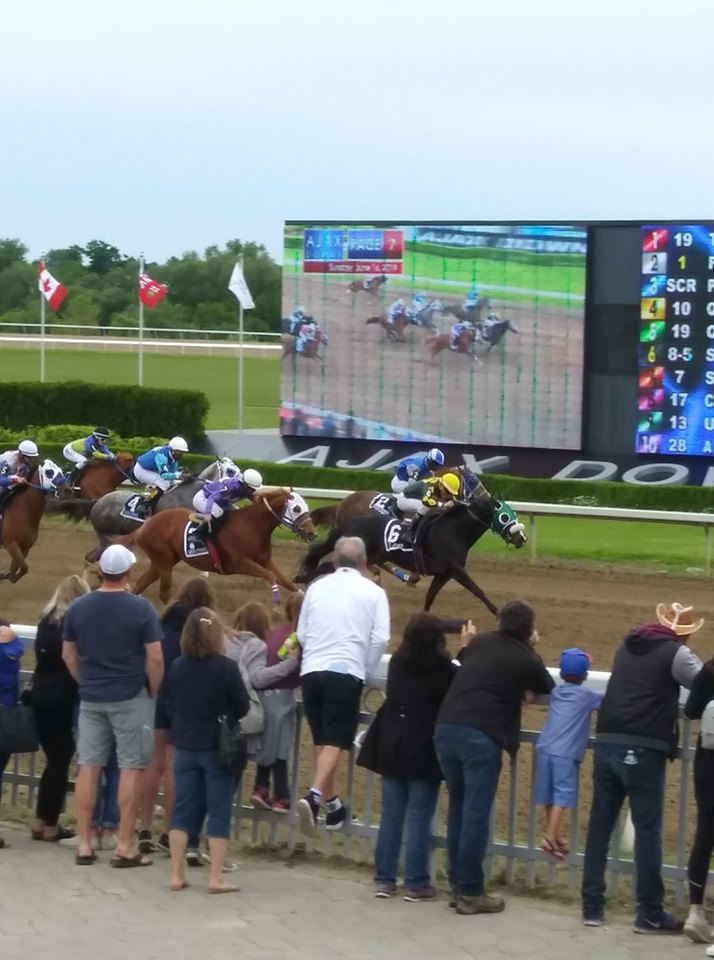 Shes Sizzling is red hot on Father's Day at Ajax Downs