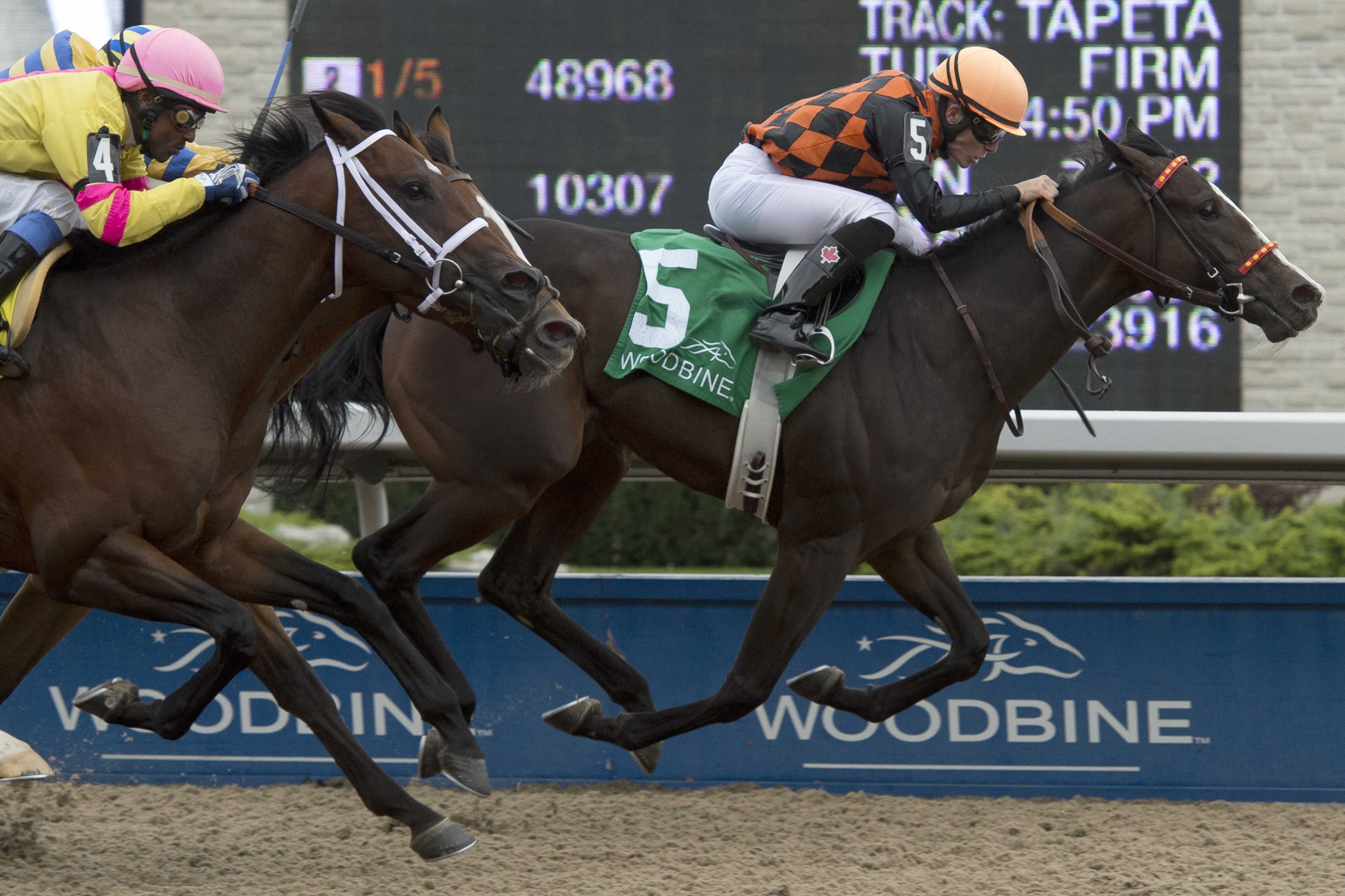 Emma-Jayne Wilson to receive 2018 Avelino Gomez Memorial Award