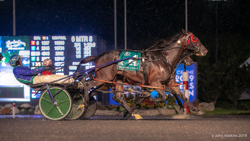 Breeders Crown At Woodbine Mohawk Park A 