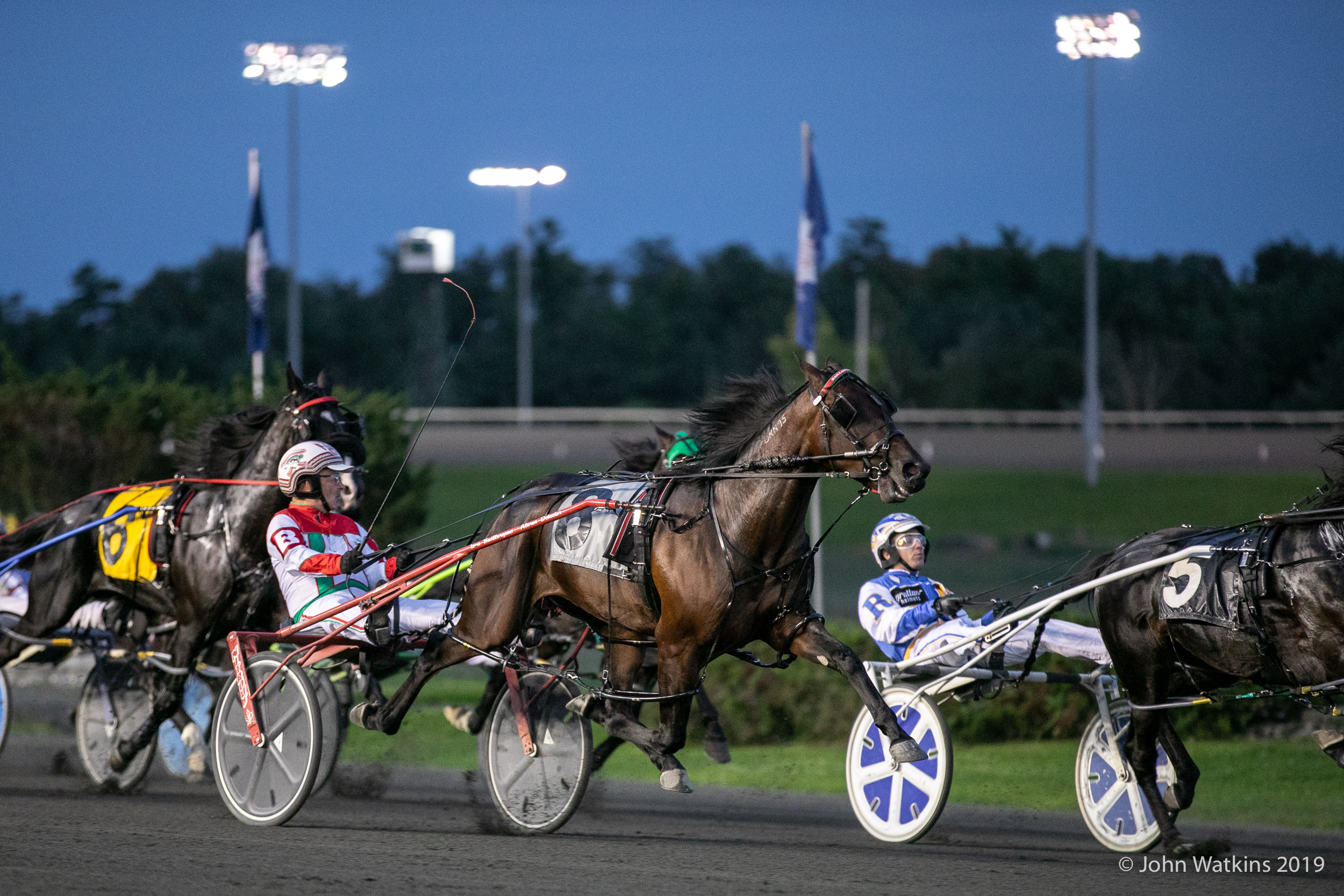 Ontario Sired Spring Series nominations due Monday