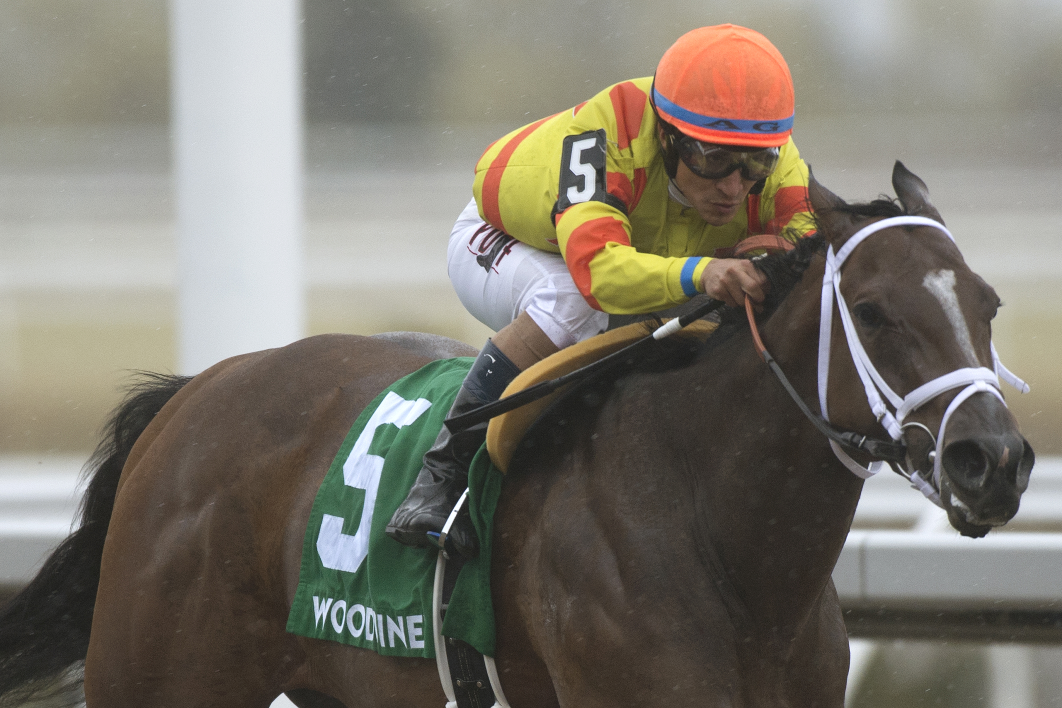 Shakopee Town wins Whimsical Stakes on Woodbine’s Opening Day