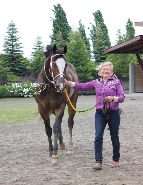 Country Boy 123 is Horse of the Year!