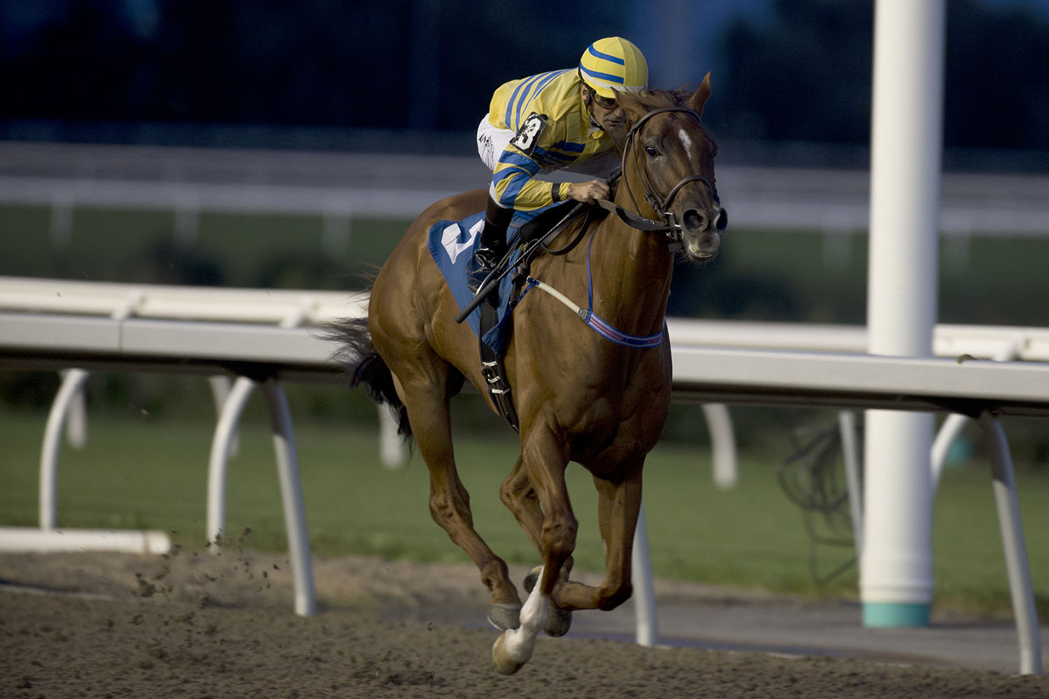 The beat goes on for Pink Lloyd on Canadian Millions Sales Stakes Night