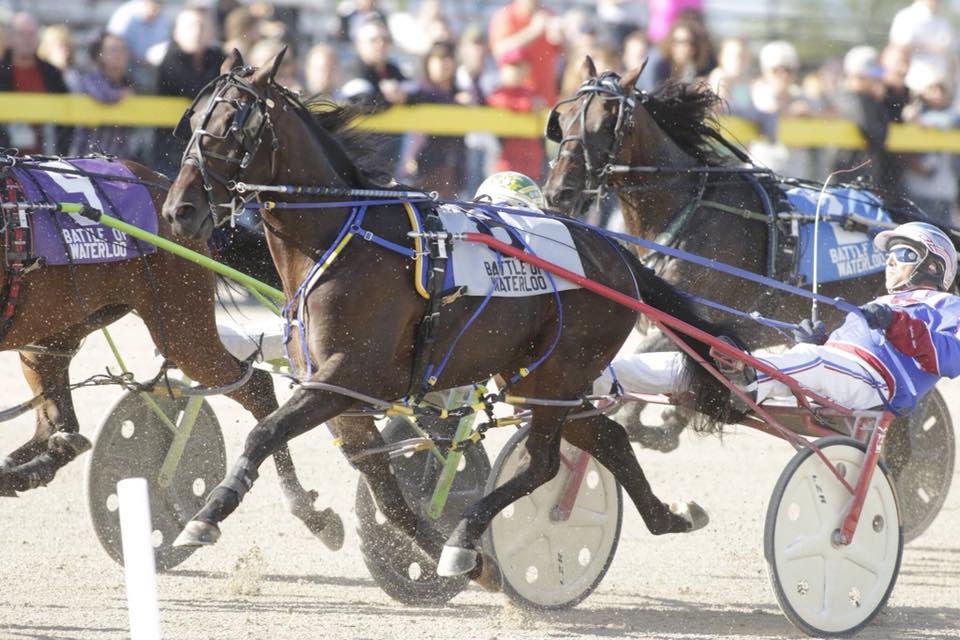 Battle Of Waterloo And Belles On Facebook Live