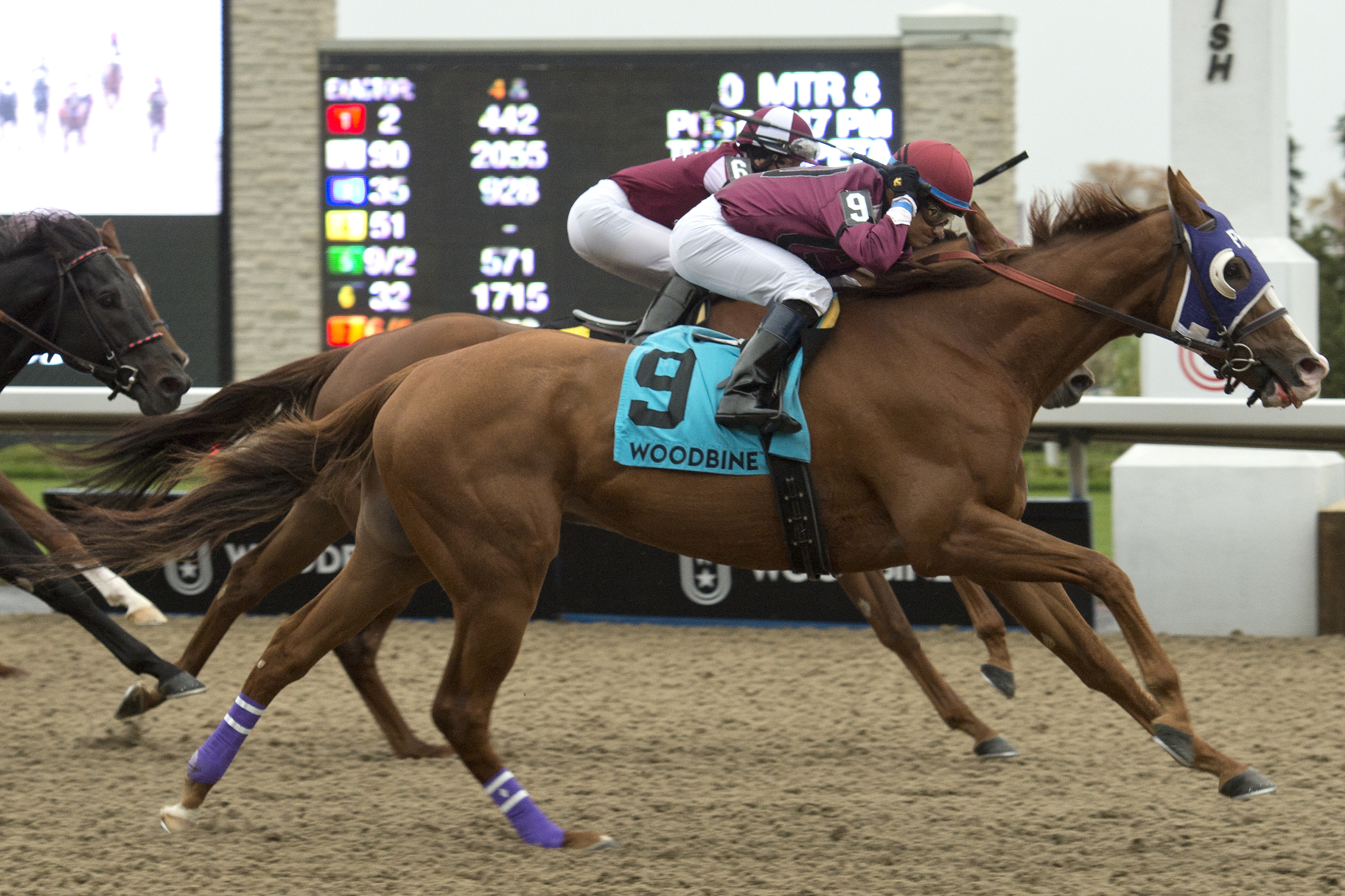 Buttigieg over the moon as Thor’s Rocket heads into Sir Barton