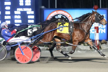 Thru The Wickets, Lady Driver take Harvest finals