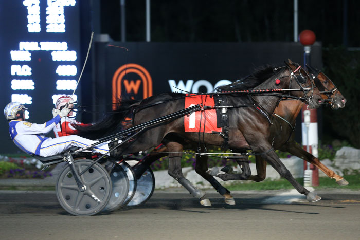 McIntosh advances four to Grassroots Championship