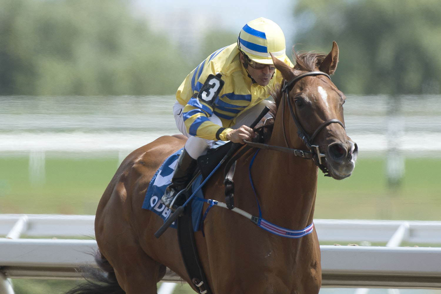 A star-studded Canadian Millions Sales Stakes Night set for Wednesday