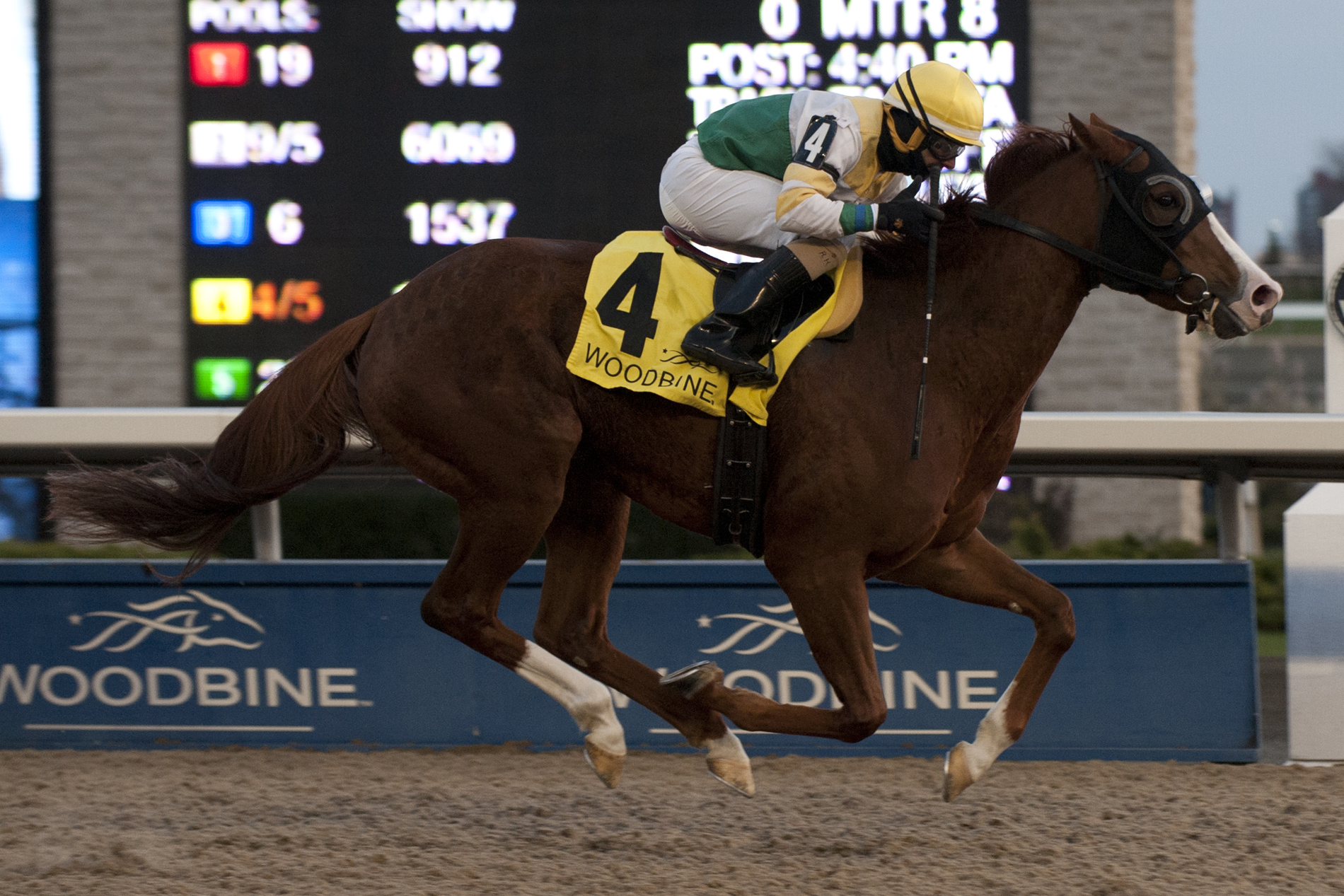 Ghostly Presence triumphs in Jammed Lovely Stakes